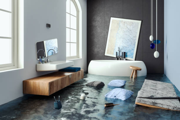 Best Professional water damage repair  in Mission Bend, TX