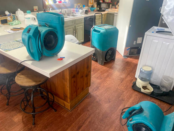 Best Water damage mitigation services  in Mission Bend, TX