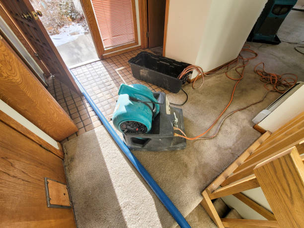 Best Flood damage cleanup  in Mission Bend, TX