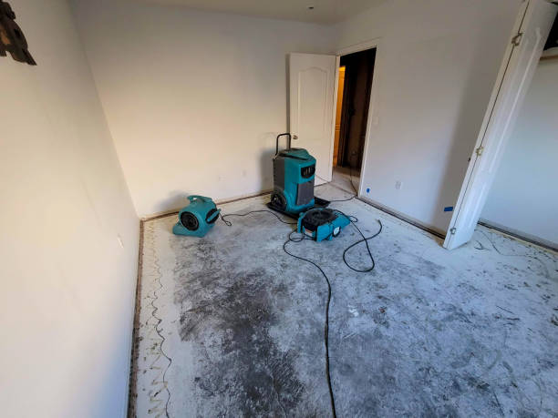Best Water damage cleanup near me  in Mission Bend, TX