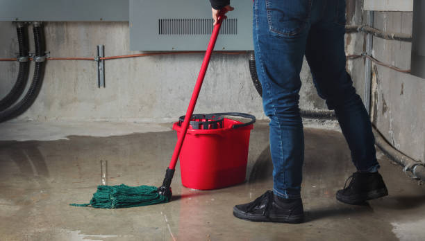 Best Flooded house restoration  in Mission Bend, TX