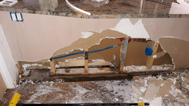 Best Ceiling water damage repair  in Mission Bend, TX