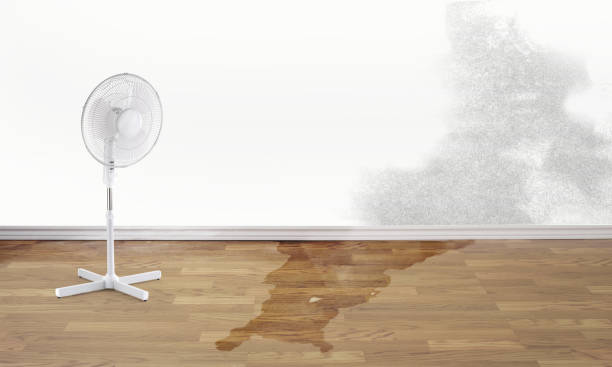 Reliable Mission Bend, TX Water damage restoration Solutions