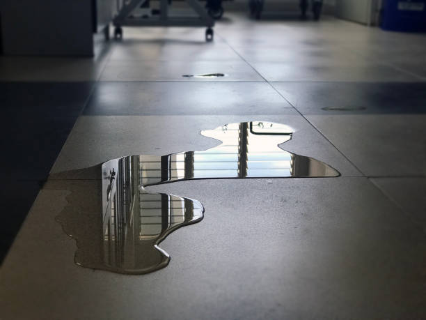 Best Carpet water damage restoration  in Mission Bend, TX