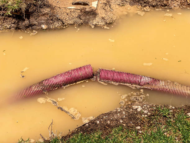 Best Basement water damage restoration  in Mission Bend, TX