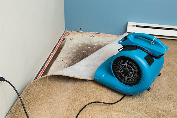 Best Fire Damage Restoration  in Mission Bend, TX